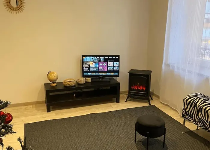 Apartment Le Cosi Vosgien Familial Au Centre De *