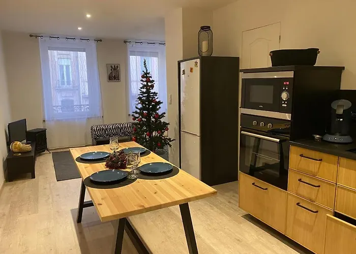 Apartment Le Cosi Vosgien Familial Au Centre De *